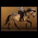 Cavalo Montado Aditado Interagro - Foto 1