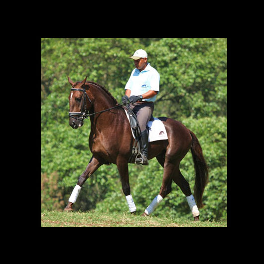 Cavalo Montado Croupier do Aretê - Foto 1
