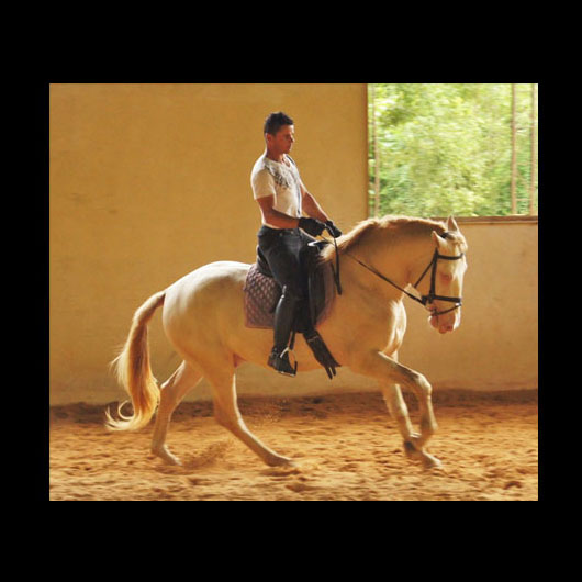 Cavalo Montado Diamante do Aretê - Foto 5